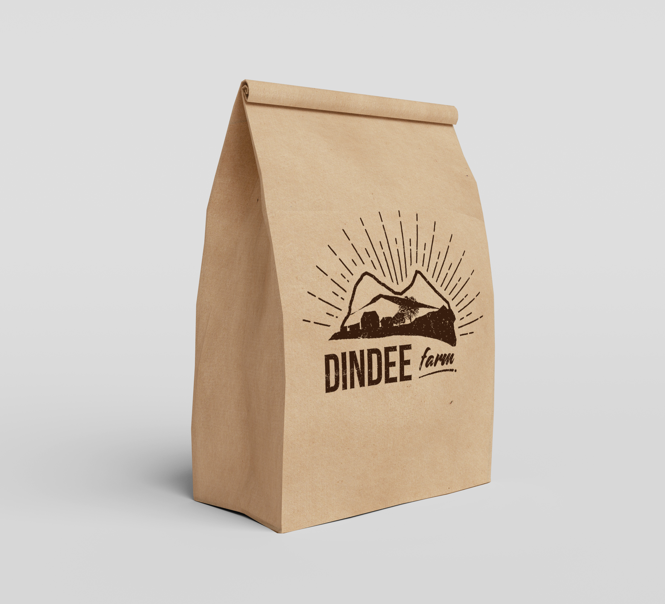 Medium Landscape Paper Gift Bag | Rope Handles | Tiny Box Company